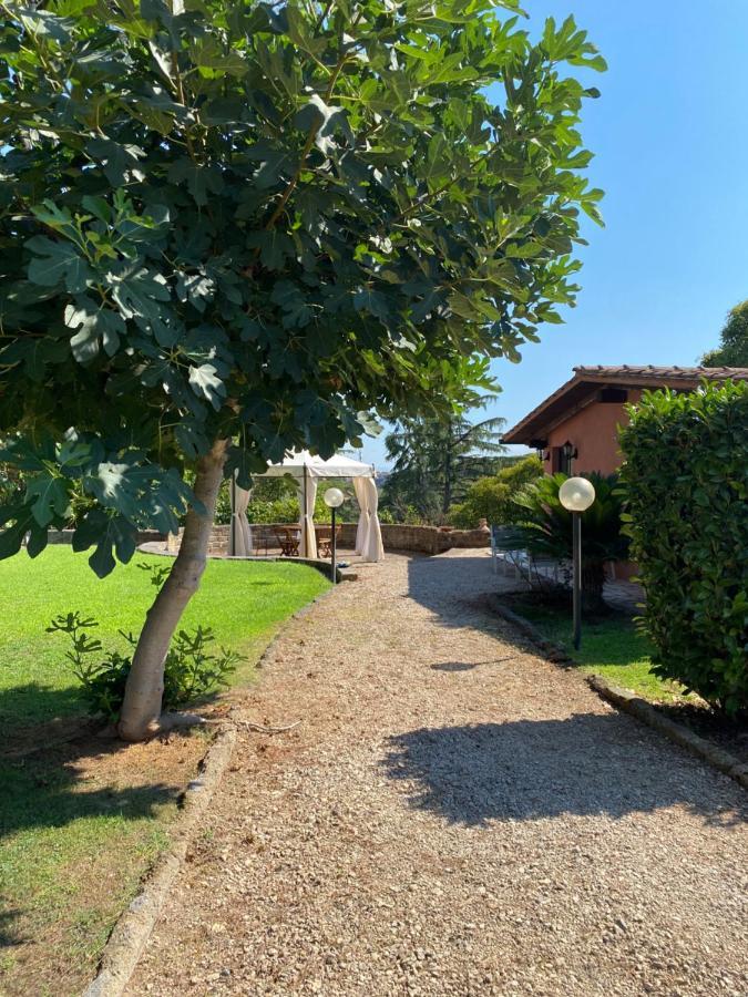Vila La Casa Di Irene Nel Golf Club Řím Exteriér fotografie
